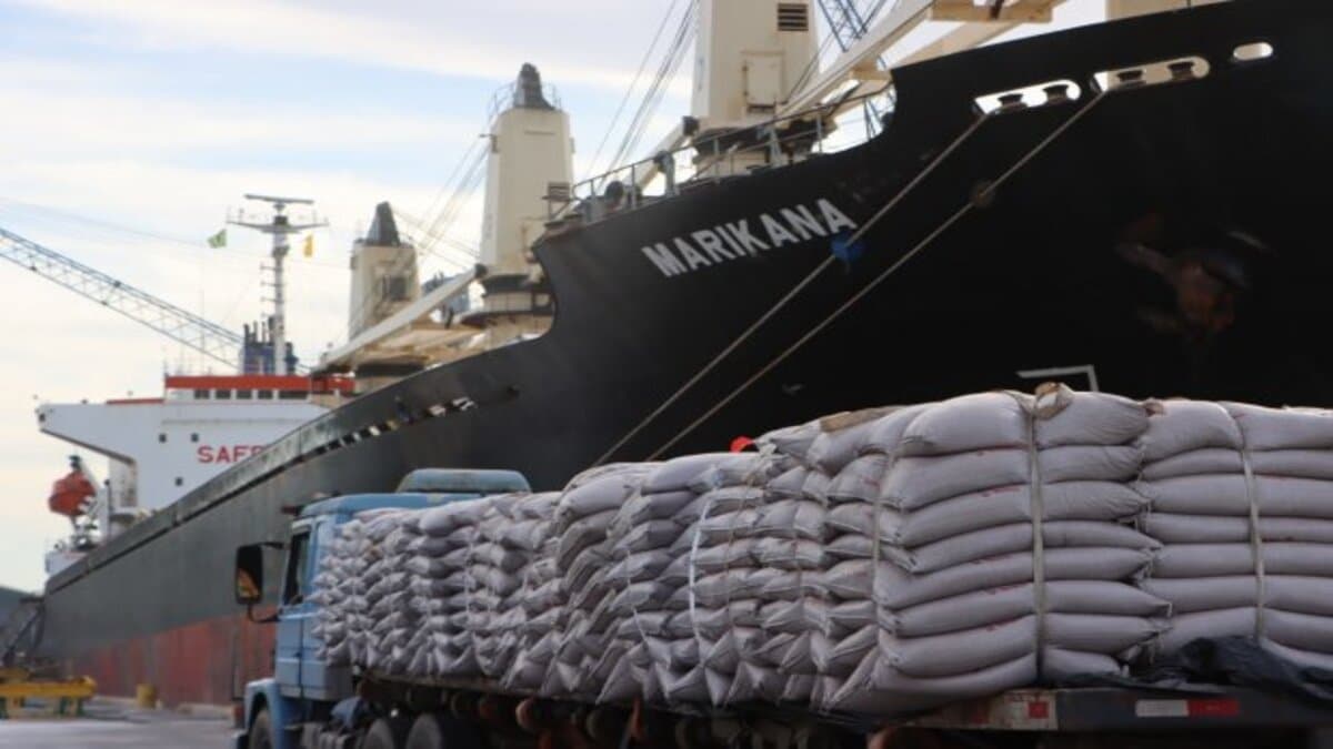 Com crise de logística mundial, Porto de São Francisco do Sul é a nova aposta para a exportação de cargas no estado de Santa Catarina