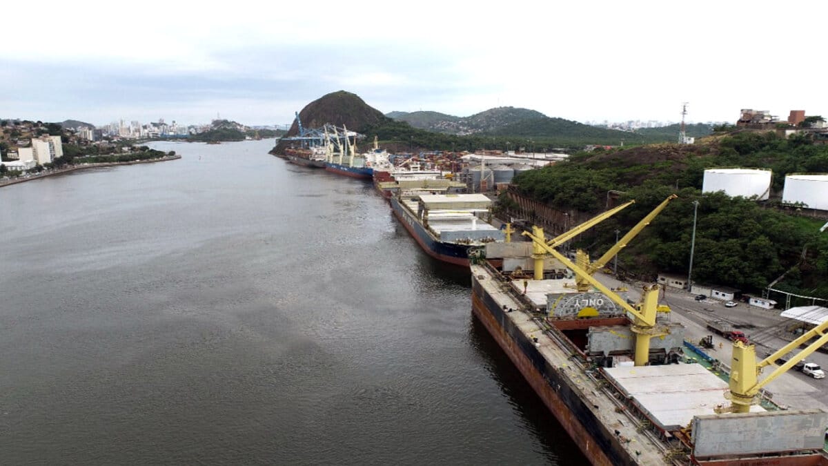 O processo que levará à primeira privatização do setor portuário do Brasil avança no Tribunal de Contas da União, para que a Codesa seja leiloada pelo governo
