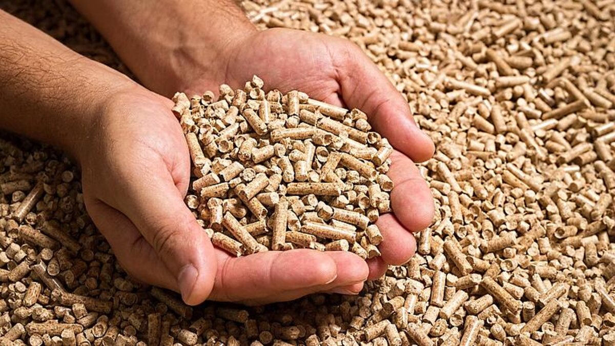 Para aumentar a produtividade e diversificar a movimentação de cargas, o Porto Ponta do Félix se prepara para uma exportação de pellets de madeira