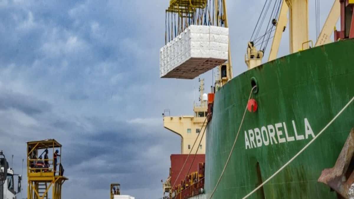 A atracação do navio Arborella no Porto de Itaqui deu início aos testes do berço 99 para a movimentação de carga com foco nas operações com os granéis de celulose