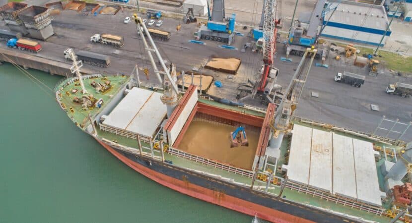 O complexo portuário continua expandindo a sua movimentação de cargas e, nesta semana, finalizará a exportação de 16,5 mil toneladas de pellets de madeira que sairão do Porto de Imbituba com destino ao mercado europeu no navio Agia Sofia.